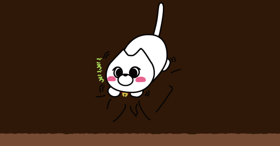 お気に入りの毛布にふみふみするマリーちゃん