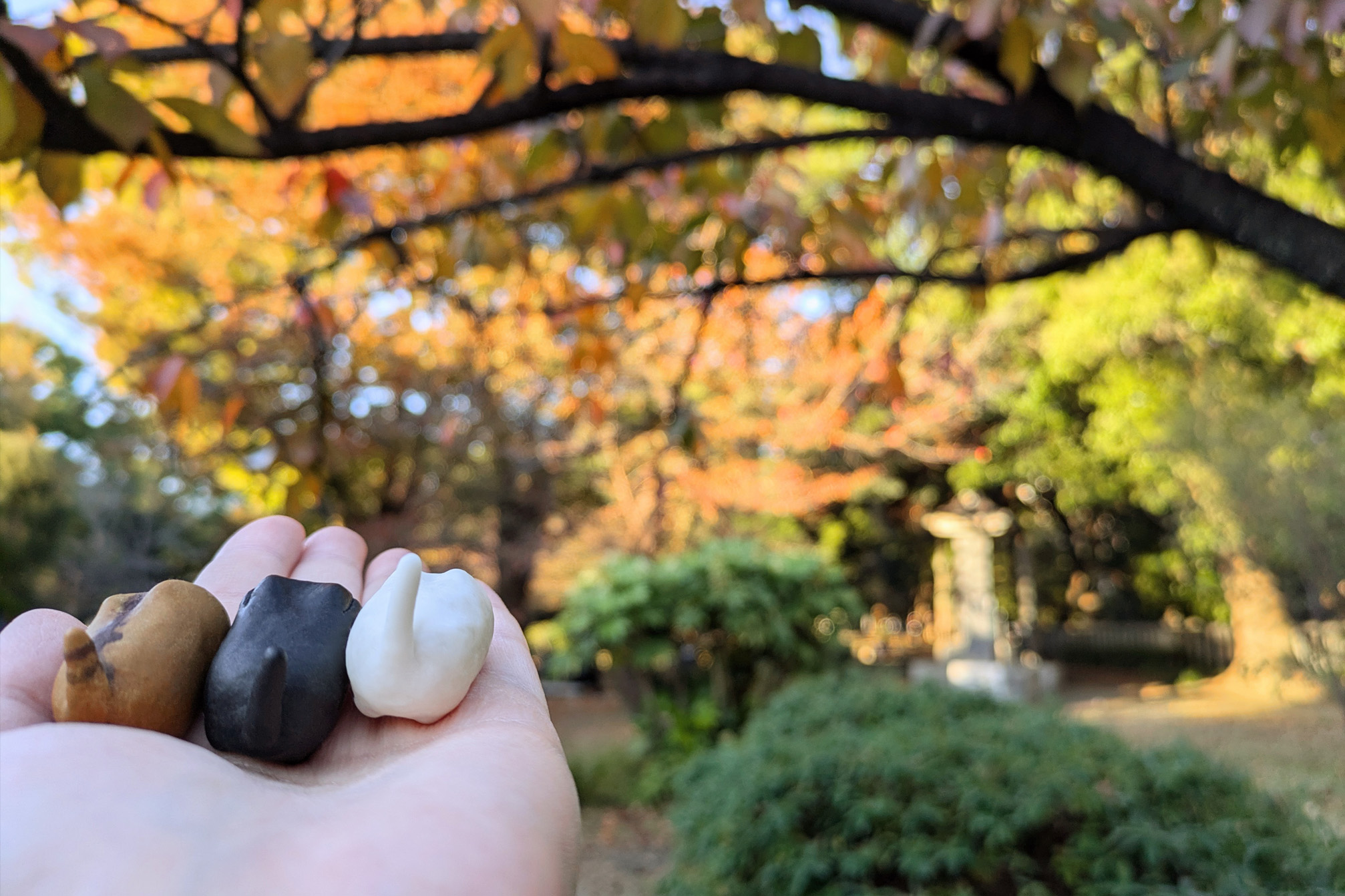 紅葉狩りをするBADCAT2024来年も見ようね