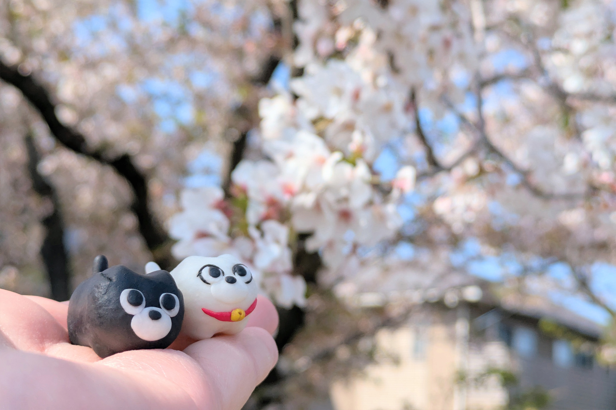 お花見をするバットとハニー2025