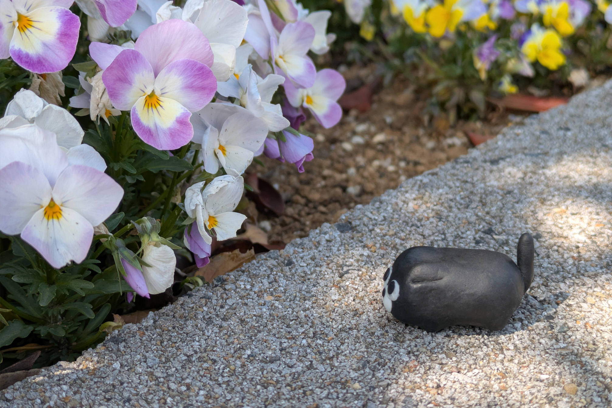 パンジーとバット