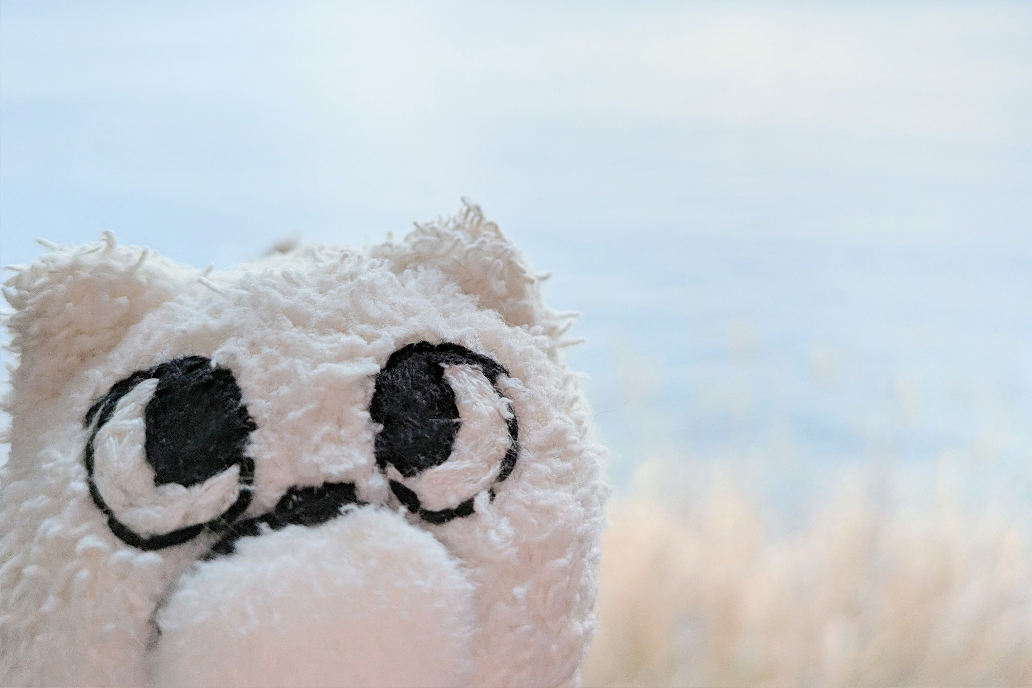 電車から見える海とマリー