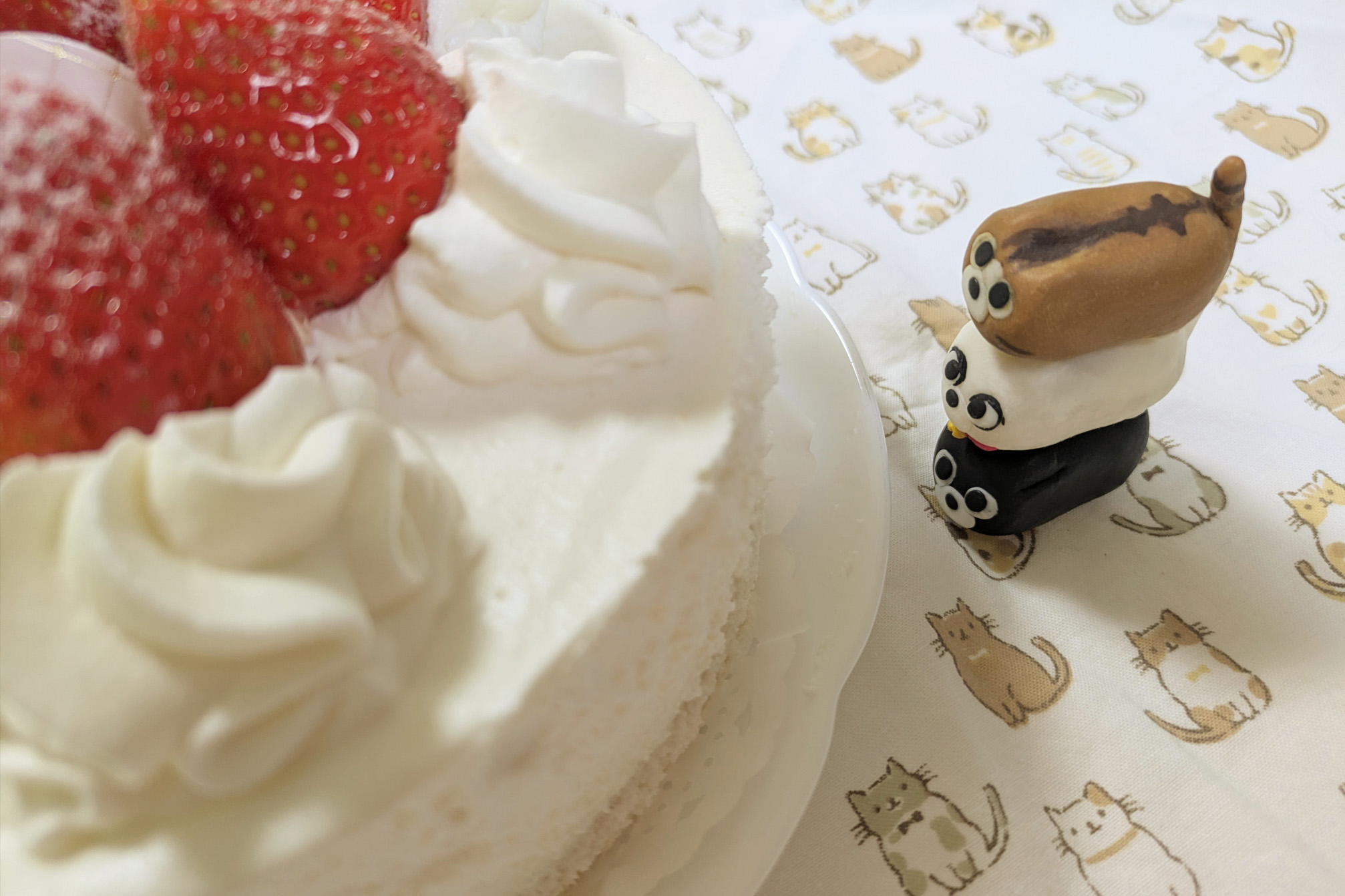 イチゴケーキとBADCAT